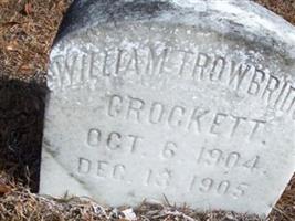 William Trowbridge Crockett