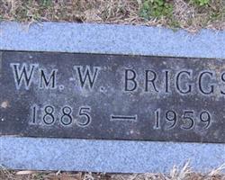 William W Briggs