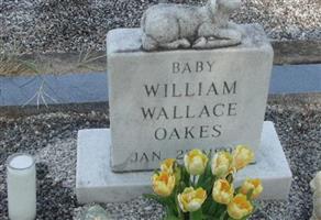 William Wallace Oakes