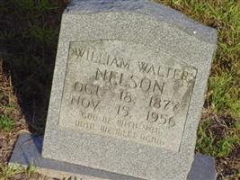 William Walter Nelson