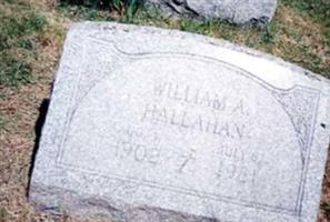 William "Wild Bill" Hallahan