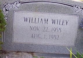 William Wiley William Wiley