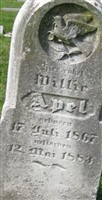 William "Willie" Apel