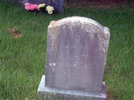 William Wills