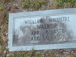William Wilshire Walkup