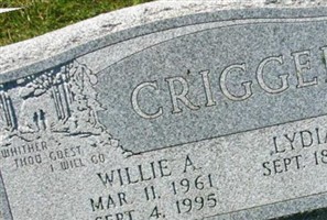 Willie A Crigger, Jr Willie A Crigger, Jr