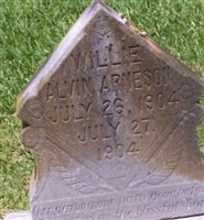 Willie Alvin Arneson