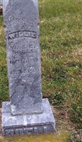 Willie Boell
