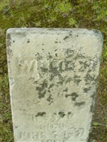 Willie E. Knapp