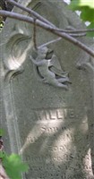 Willie Eddy