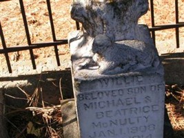 Willie McNulty