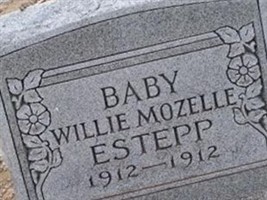 Willie Mozelle Estepp Willie Mozelle Estepp