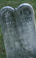 Willie Wiard Willie Wiard