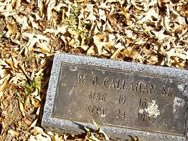 Willis Birch Callahan