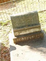 Willouise Tempie Cunningham Carter