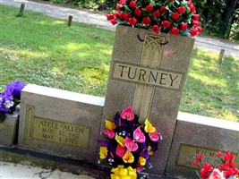 Wilma Fronia Turney
