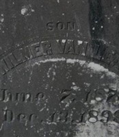 Wilmer Van Lear Alexander