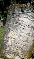 Wilmoth Ann Rebecca Salyards Wilmoth Ann Rebecca Salyards