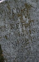 Wilton S Head