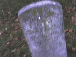 Wilton S Head