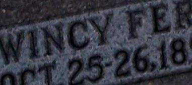 Wincy Fern Craven