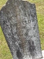 Winey Ann Roberts Stringfellow Winey Ann Roberts Stringfellow