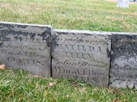 Winfield Taylor Curtis