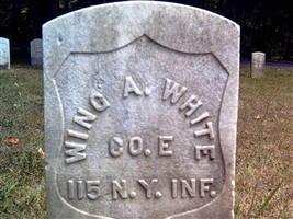 Wing A White