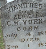 Winnifred York