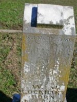 W J Lockhart W J Lockhart