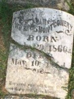 Wm Bingham Montgomery