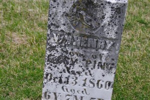 Wm. Henry Ping