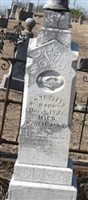 W. M. Triplett W. M. Triplett