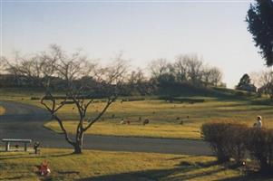 Woodlawn Memorial Gardens