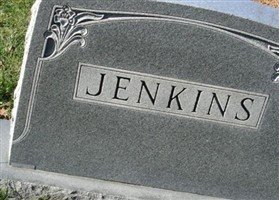 Woodrow W. Jenkins, Jr Woodrow W. Jenkins, Jr