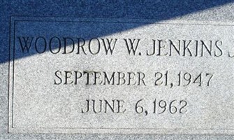 Woodrow W. Jenkins, Jr Woodrow W. Jenkins, Jr