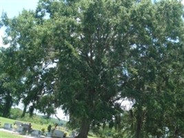 Woolen Lake Cemetery