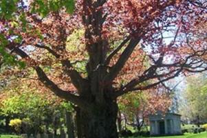 Worcester Rural Cemetery