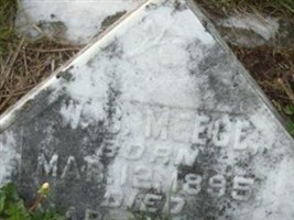 W. P. Meece W. P. Meece