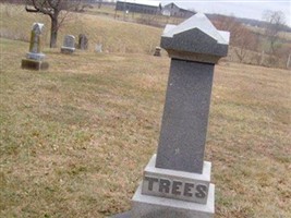 W P Trees