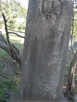 W. R. Arnett W. R. Arnett