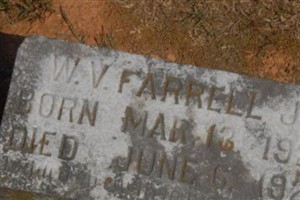 W. V. Farrell, Jr W. V. Farrell, Jr