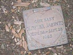 Xavier Jacinto Xavier Jacinto