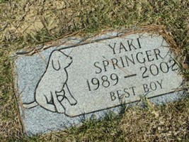 Yaki Springer Yaki Springer