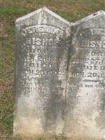 Yancey Bishop Yancey Bishop
