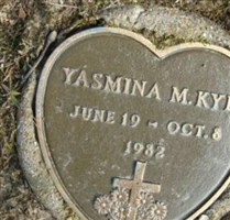 Yasmina M Kyle
