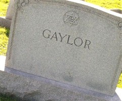 Yetta Fine Gaylor