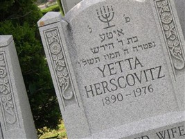 Yetta Herscovitz