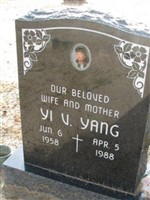 Yi V. Yang