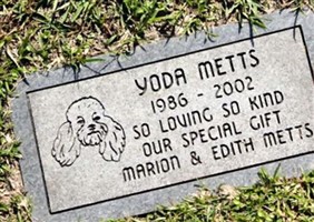 Yoda Metts Yoda Metts